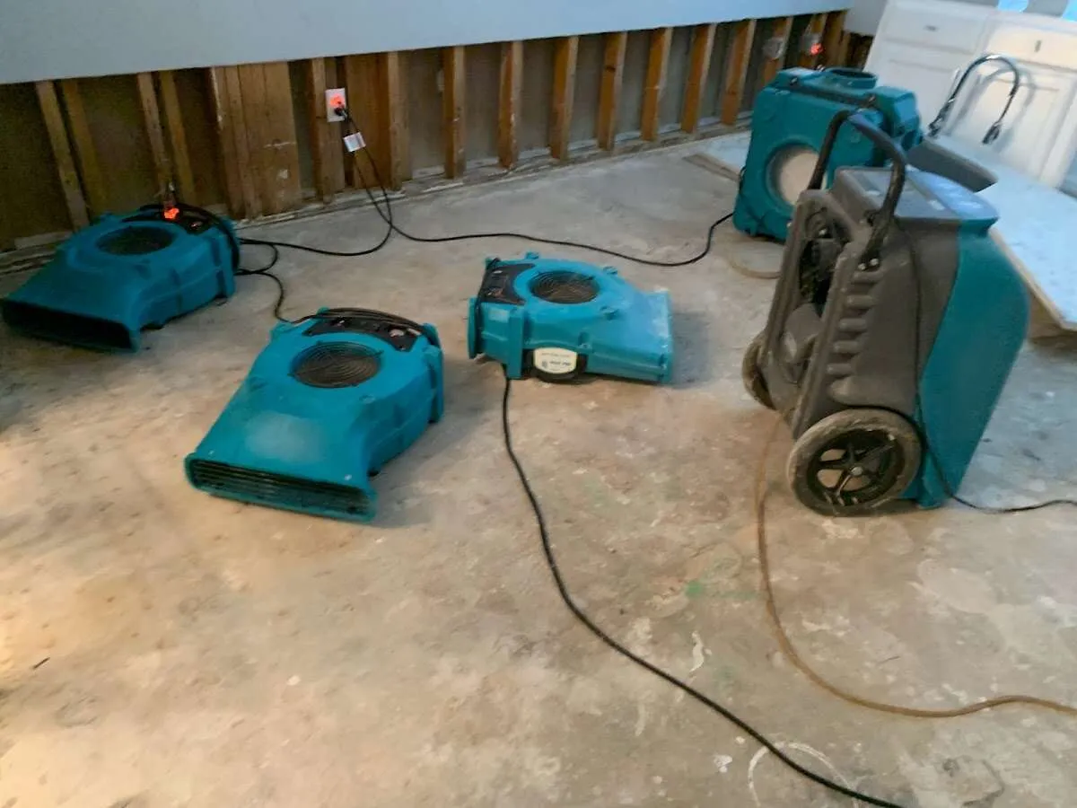Water Damage Restoration services in Perrysburg, OH